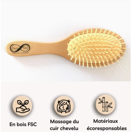 Brosse en bois