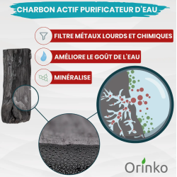 Les bienfaits du charbon actif